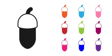 Siyah meşe palamudu beyaz arka planda izole edilmiş. Simgeleri renklendirin. Vektör.