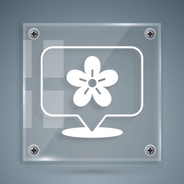 Gri arkaplanda çiçek simgesi olan beyaz konum. Kare cam paneller. Vektör.