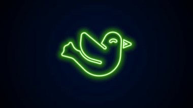 Parlayan neon hattı güvercin simgesi siyah arkaplanda izole edildi. 4K Video hareketli grafik canlandırması