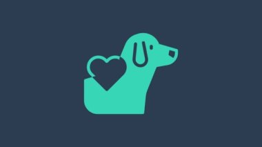 Mavi arka planda köpek ikonu olan turkuaz kalp. Yüreğindeki evcil hayvan pençesi. Hayvanlara sevgiler. 4K Video hareketli grafik canlandırması