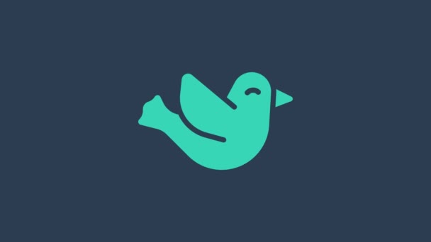 Ícone de pomba turquesa isolado no fundo azul. Animação gráfica em movimento de vídeo 4K — Vídeo de Stock