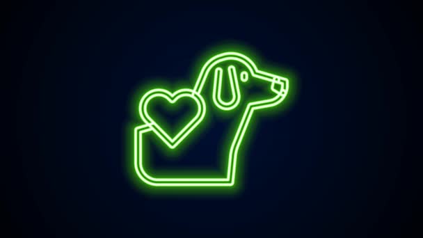 发光的霓虹灯线心脏与狗图标隔离在黑色背景。宠物的爪子在心脏。对动物的爱4K视频运动图形动画 — 图库视频影像