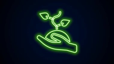 Parlayan neon hattı gönüllü takımı siyah arka planda izole edilmiş ağaç simgesi dikiyor. Bitkileri ve ağaçları koruyan ekolojik koruma. 4K Video hareketli grafik canlandırması