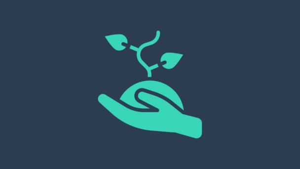 Turchese Volontariato squadra piantare alberi icona isolata su sfondo blu. Rappresenta la protezione ecologica, proteggendo piante e alberi. Animazione grafica 4K Video motion — Video Stock