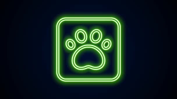 Glowing neon line Paw print icon isolated on black background. Dog or cat paw print. Animal track. 4K Video motion graphic animation — Stock Video