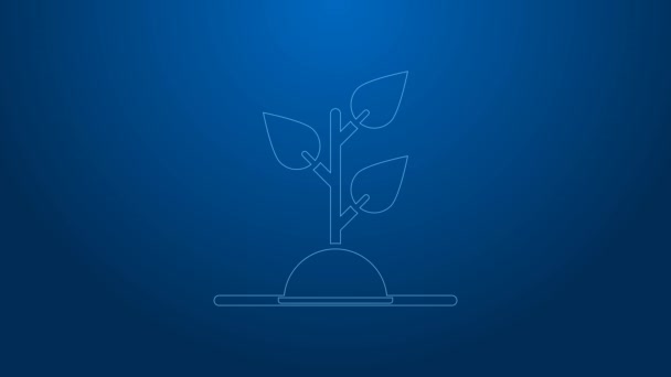 Linea bianca Volontariato squadra piantare alberi icona isolata su sfondo blu. Rappresenta la protezione ecologica, proteggendo piante e alberi. Animazione grafica 4K Video motion — Video Stock