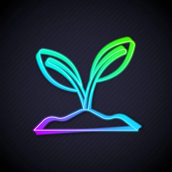 Glowing neon line Sprout icon isolated on black background. Seed and seedling. Leaves sign. Leaf nature. Vector — Stock Vector