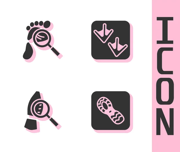 Set Human footprints shoes, Magnifying glass with footsteps, and Goose paw icon. Vector — Stock Vector