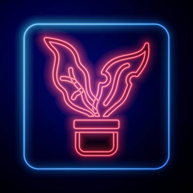 Esrar ikonunda parlayan neon bitkisi siyah arka planda izole edildi. Tencerede yetişen bir bitki. Saksı bitkisi işareti. Vektör.