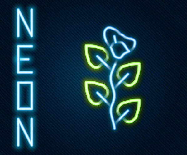 Zářící Neonová Čára Ivy Větev Ikona Izolované Černém Pozadí Větvička — Stockový vektor