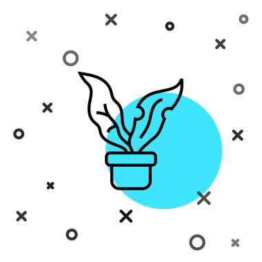 Esrar ikonundaki siyah çizgi bitkisi beyaz arkaplanda izole edilmiş. Tencerede yetişen bir bitki. Saksı bitkisi işareti. Rastgele dinamik şekiller. Vektör