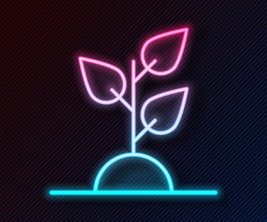 Parlayan neon hattı gönüllü takımı siyah arka planda izole edilmiş ağaç simgesi dikiyor. Bitkileri ve ağaçları koruyan ekolojik koruma. Vektör