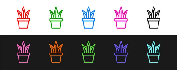 Definir linha Planta no ícone do pote isolado no fundo preto e branco. Planta crescendo em um pote. Planta em vaso. Vetor — Vetor de Stock