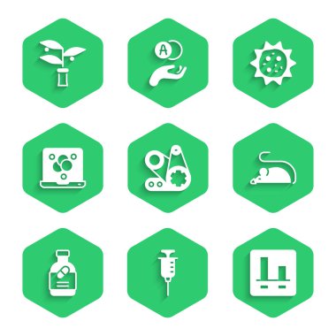 Zamanlama kemeri kitini, şırıngayı, grafik grafiğini, deney faresini, ilaç şişesini ve hapları, kimyasal formülü, virüs ve bitki yetiştirme ikonunu ayarla. Vektör