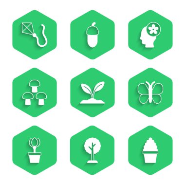 Set Filizi, Orman, Kaktüs peyote in pot, Kelebek, Çiçek lale, Mantar, içinde çiçek olan insan kafası ve Kite ikonu. Vektör