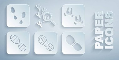 İnsan ayak izleri, yaban domuzu pençesi, kuş ve ikon. Vektör