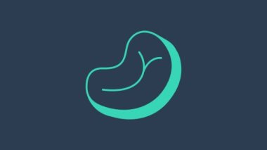 Turkuaz biftek ikonu mavi arka planda izole edilmiş. 4K Video hareketli grafik canlandırması