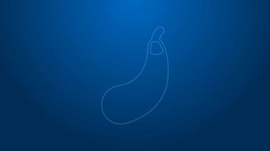 Beyaz çizgi patlıcan simgesi mavi arkaplanda izole edildi. 4K Video hareketli grafik canlandırması