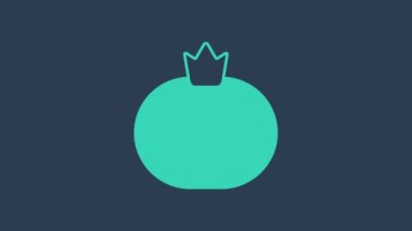 Turkuaz domates ikonu mavi arkaplanda izole edildi. 4K Video hareketli grafik canlandırması