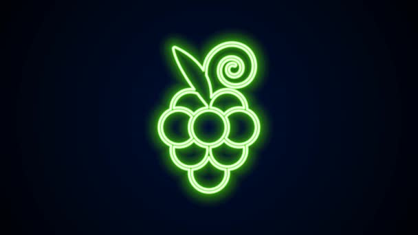 Leuchtende Neon-Linie Traubenfrucht-Symbol isoliert auf schwarzem Hintergrund. 4K Video Motion Grafik Animation — Stockvideo