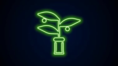 Parlayan neon hattı. Siyah arka planda bitki yetiştirme ikonu izole edildi. Test tüplerinde büyüyen bitkiler. Organik gıda, tarım ve hidrofonik. 4K Video hareketli grafik canlandırması