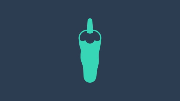 Turquoise Hot chili pepper pod icon isolated on blue background. Design for grocery, culinary products, seasoning and spice package, cooking book. 4K Video motion graphic animation — Stock Video