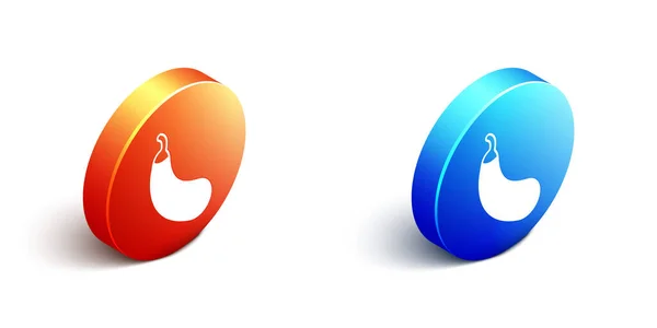Isometrisk äggväxt ikon isolerad Isometrisk bakgrund. Orange och blå cirkel knapp. Vektor — Stock vektor