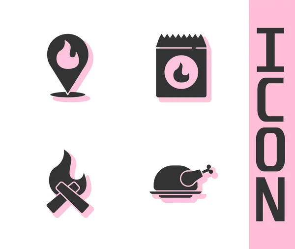 Set de pavo asado o pollo, ubicación con llama de fuego, fogata y barbacoa icono de la bolsa de carbón. Vector — Vector de stock