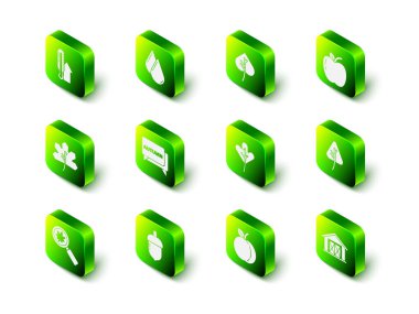 Su damlası, Yaprak ya da Yaprak, Elma, Çiftlik evi, Şeftali ve Meşe ikonu. Vektör