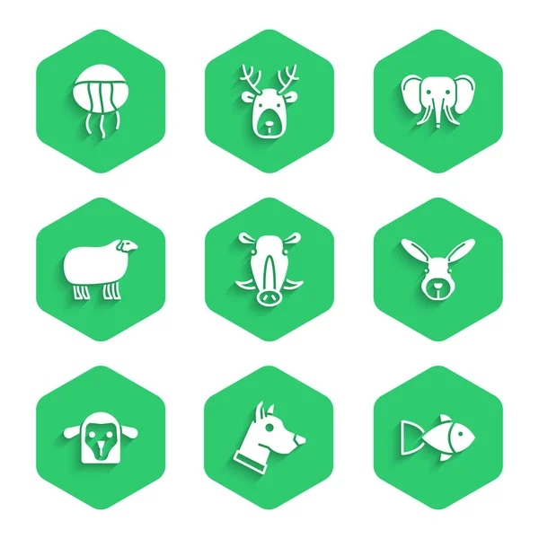 Definir cabeça de javali selvagem, cão, peixe, coelho, ovelha, elefante e ícone de água-viva. Vetor —  Vetores de Stock