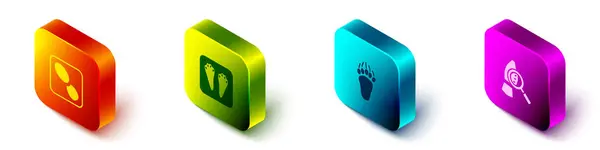 Set Isometrische menschliche Fußabdrücke Schuhe, Kaninchen und Hase Pfote, Bär und Lupe mit Schrittsymbol. Vektor — Stockvektor