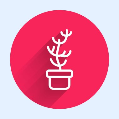 Beyaz çizgi egzotik tropikal bitki çömlek ikonunda uzun gölgeli izole edilmiş. Kırmızı daire düğmesi. Vektör