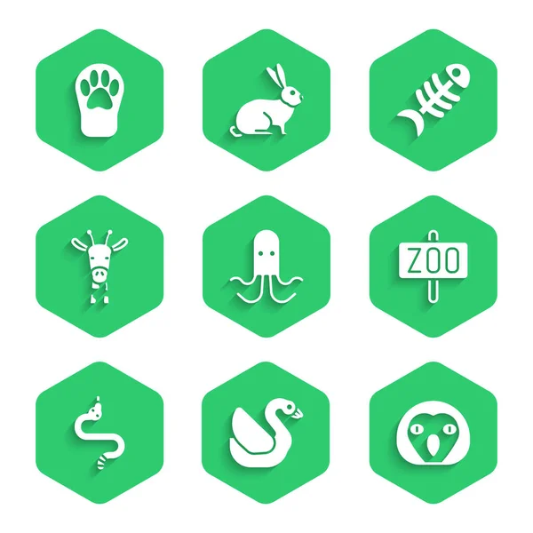 Set Octopus, Swan bird, Owl, Zoo park, Snake, Giraffe head, Fish skeleton and Paw print icon. Vector — Stock Vector