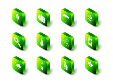 Balkabağı, Şemsiye, Yaprak veya Yaprak 'ı cep telefonuna, Rüzgâr, Meteoroloji termometresi ve Kürek simgesine ayarla. Vektör