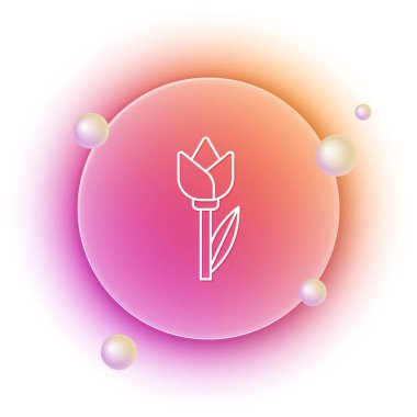 Beyaz çiçek lale simgesi beyaz arkaplanda izole edildi. Turuncu ve pembe eğimli çember arka planı. Vektör.