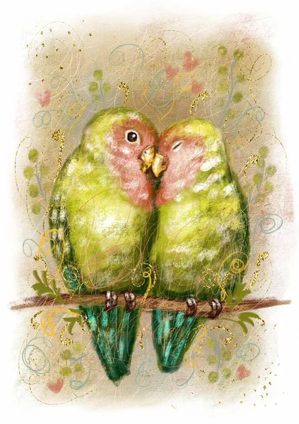 Aranyos Színes Kártya Retro Stílusban Gyönyörű Gerlepár Papagájok Puha Narancssárga — Stock Fotó