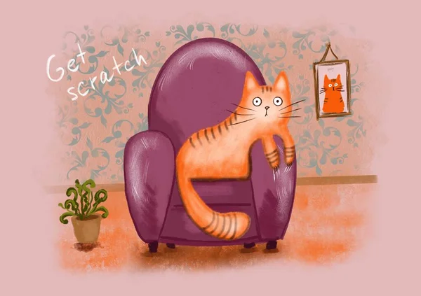 Mignon Chat Roux Assis Dans Fauteuil Rose Illustration Numérique Dessinée — Photo