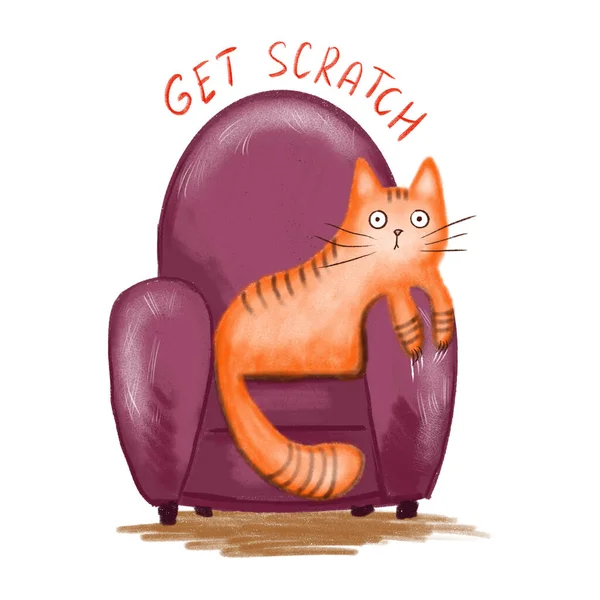 Ładny Rudy Kot Siedzieć Różowym Fotelu Ilustracja Cyfrowa — Zdjęcie stockowe
