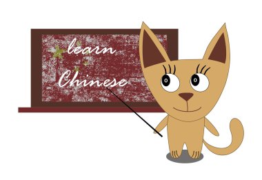 Bir kara tahta ile bir kedi resmi