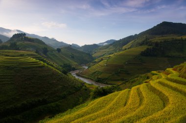 üzerinde pirinç tarlaları teraslı mu cang chai, yen bai, vietnam.