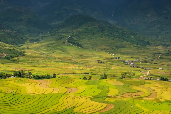 Risfälten på radhus på mu cang chai, yen bai, vietnam. — Stockfoto