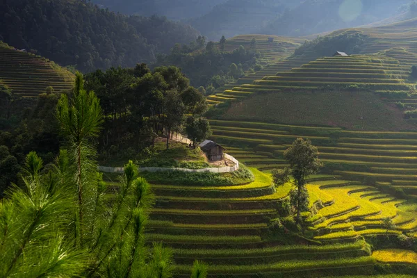 Rice fields on terraced at Mu Cang Chai, Yen Bai, Vietnam. — Stock Photo, Image