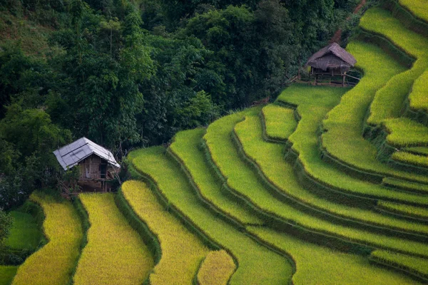 Risfälten på radhus på mu cang chai, yen bai, vietnam. — Stockfoto