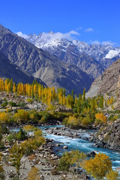 Ghizer Vadisi. Kuzey Pakistan.