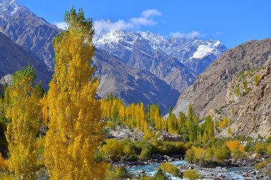 Ghizer Vadisi. Kuzey Pakistan.