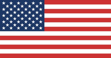 Birleşik Amerika bayrağının durumunu. Vektör çizim.