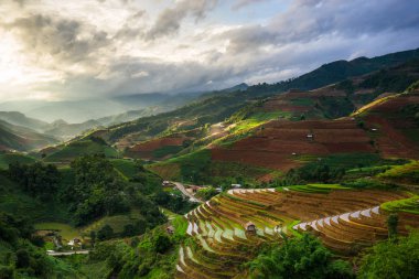 Rice fields on terraced in rainny season at Mu Cang Chai, Yen Bai, Vietnam.