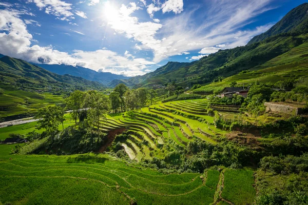 Pola ryżowe w zabudowie szeregowej w sezonie rainny w Sapa, Lao Cai, Wietnam. — Zdjęcie stockowe