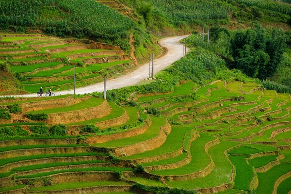 Risfält på terrasserade i rainny säsong på Sapa, Lao Cai, Vietnam. — Stockfoto