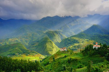 Alanları içinde teraslı rainny sezon Sapa, Lao Cai, Vietnam pirinç.
